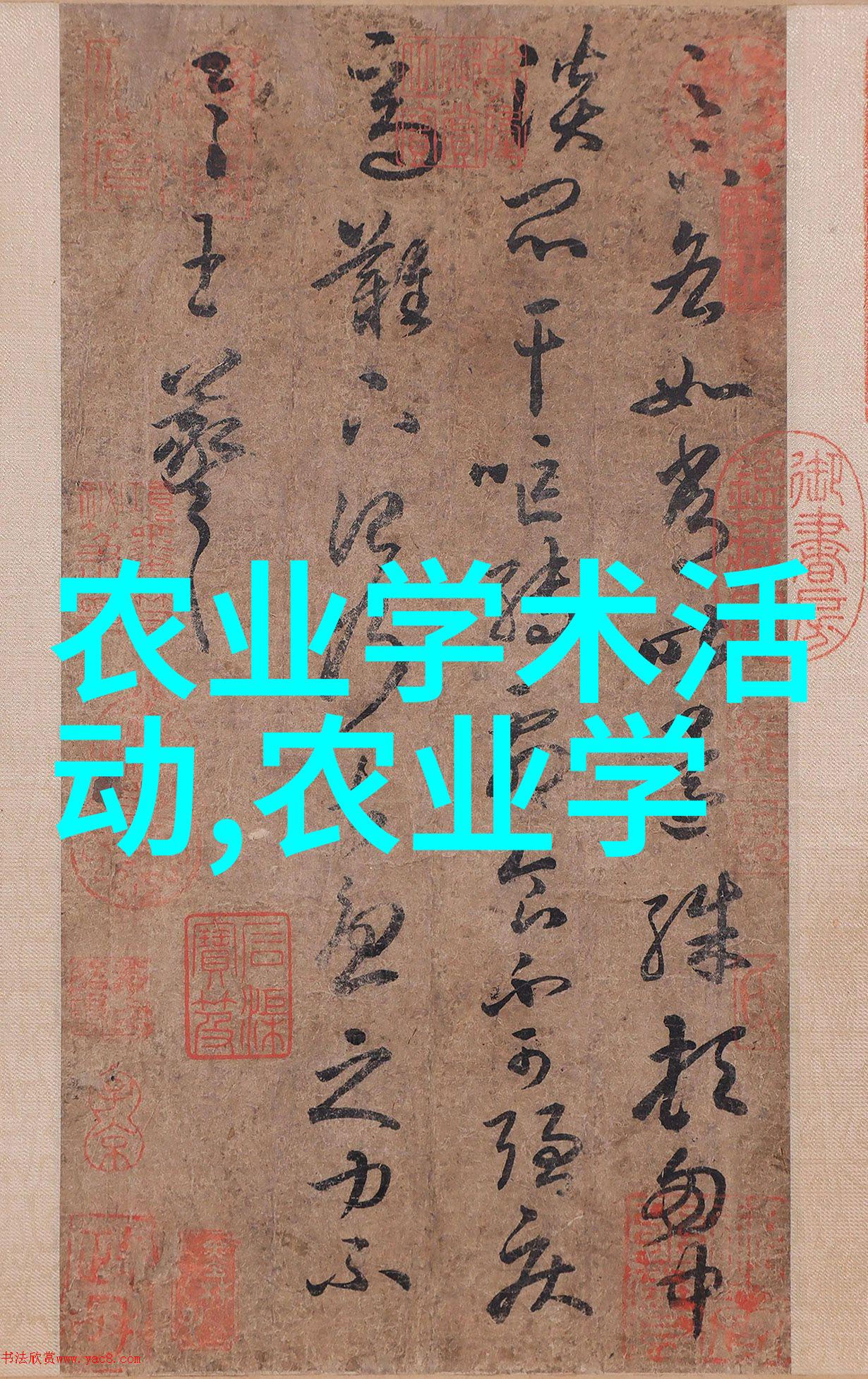 茶文化-品味不同探索世界上各种各样的茶叶