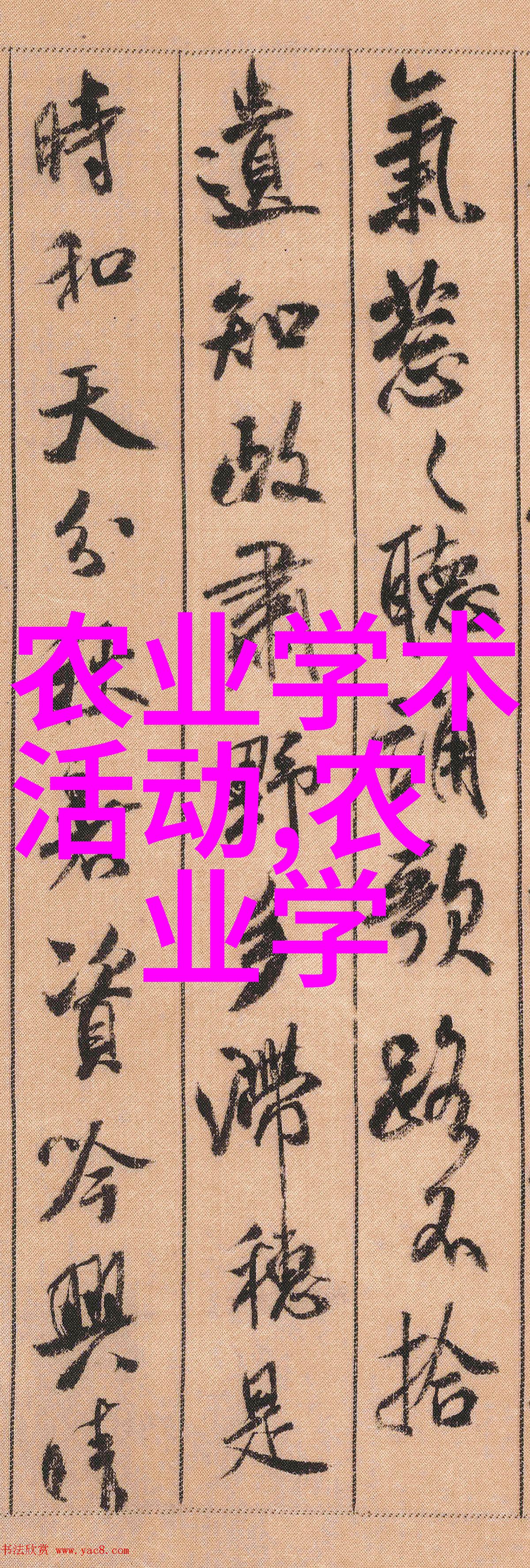 在家庭园艺中如何合理安排空间让板蓝根得到充足光照和空气流通