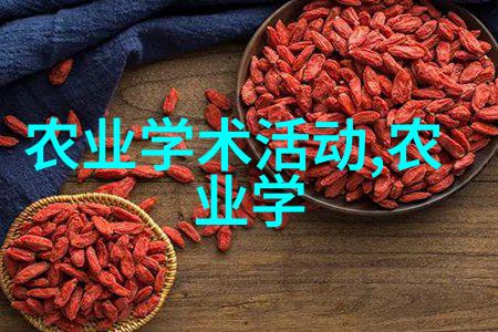 十三五是什么时候我都记得啦那是从2016年开始的到2025年结束的这个规划对我们每个人来说都有着重要