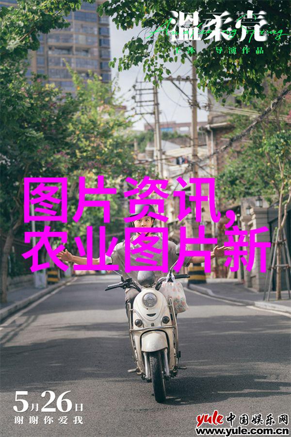 多样化培育探索中药材种苗的多元未来