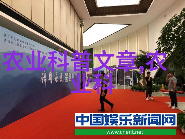 家庭绿茵的生机勃勃阳台种菜盆的魅力与实用性