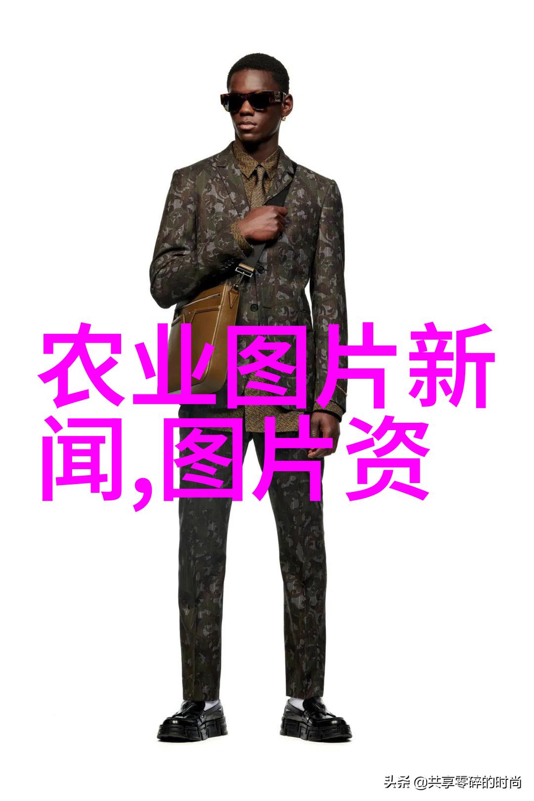 评估公司对树木价格评估标准我是如何衡量树木价值的