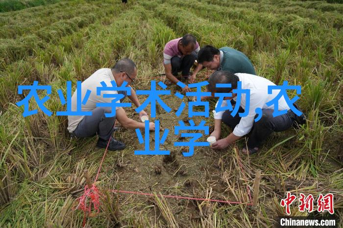 羊群的守望者一场财投与牧业的奇遇