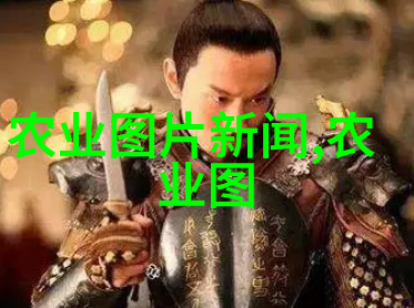 南国香料揭秘那些在南方种植的高价药材
