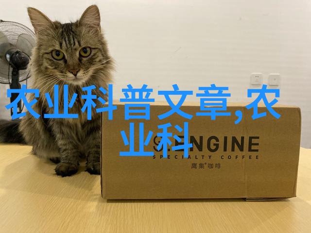 广州芳村茶叶批发网我来给你介绍一下芳村茶的秘密花园