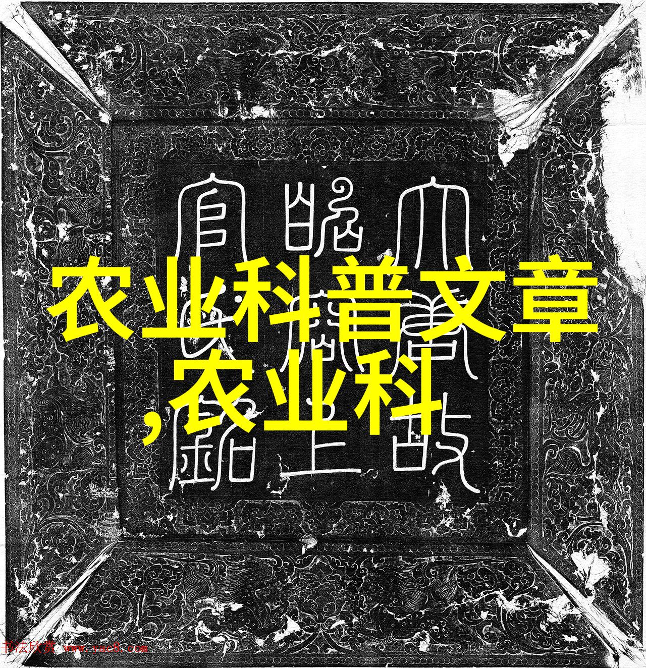 茶入门-品味生活茶入门指南