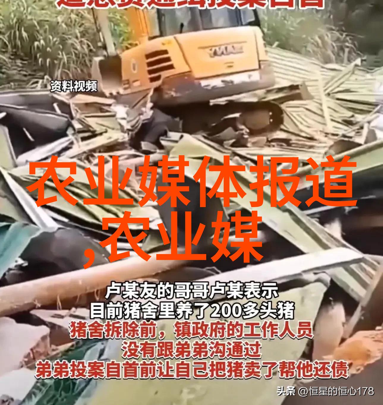 牛到手技术就业从草到金的养牛大冒险