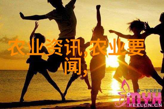 微型鸡新秀樱桃鸡