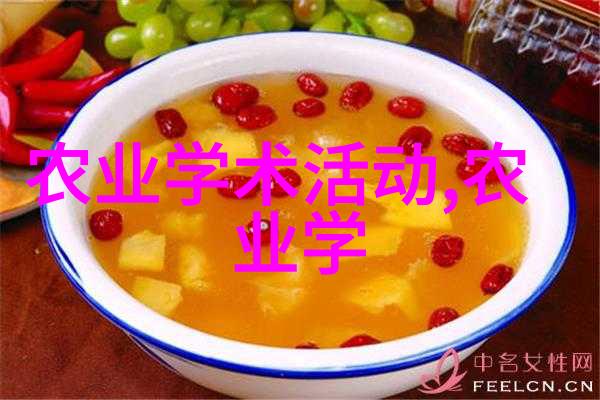 大数据时代下的农业决策支持系统DSS应用研究