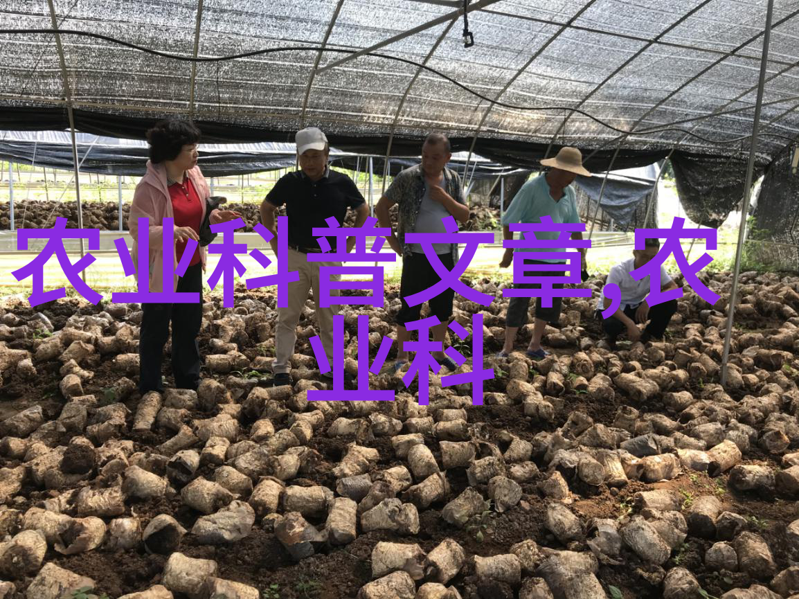 园艺爱好者的绿色宝库木本花卉的盆栽艺术