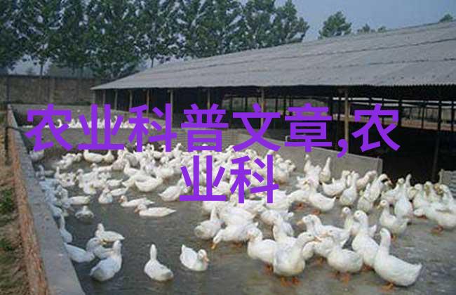旺宅秘笈揭秘最能增福添运的风水树种