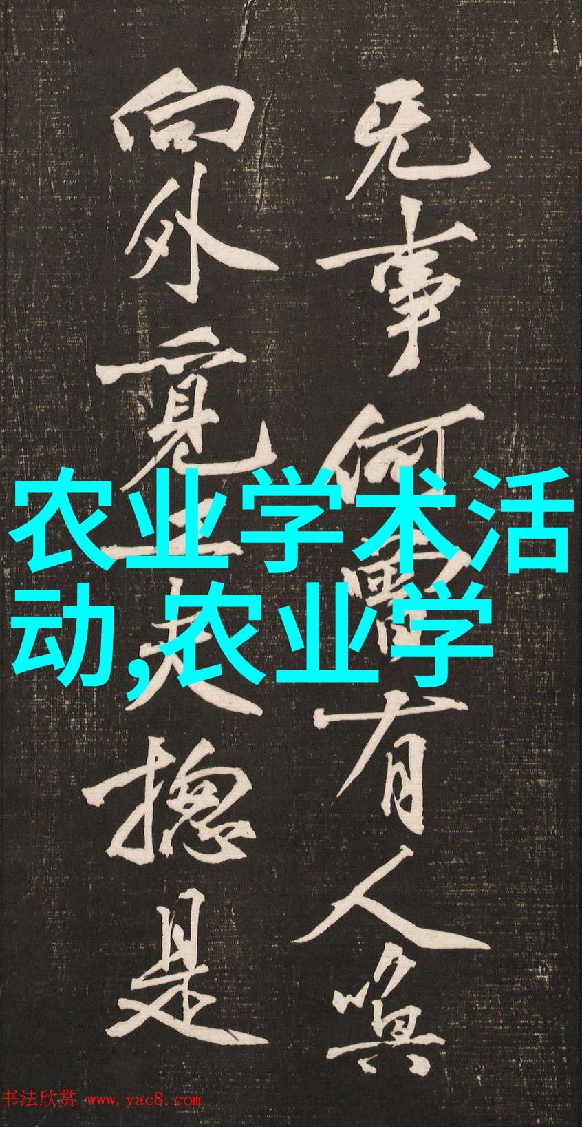 自动化码垛机革命提升仓库效率新篇章