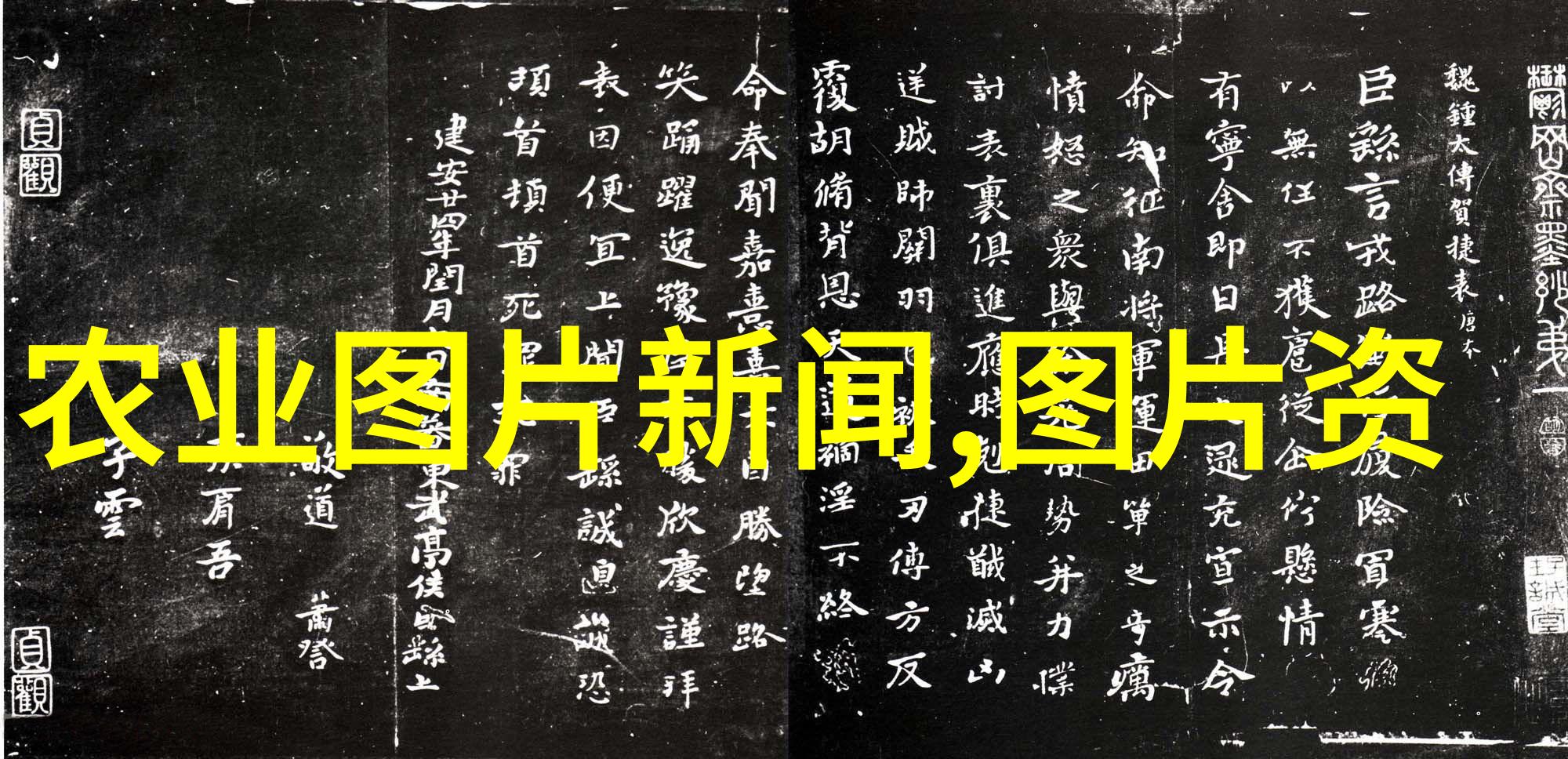 精选全球佳品揭秘茶叶种类排行榜前的传奇故事
