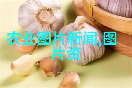 微尘之王的飞跃5毫米蜂后传说