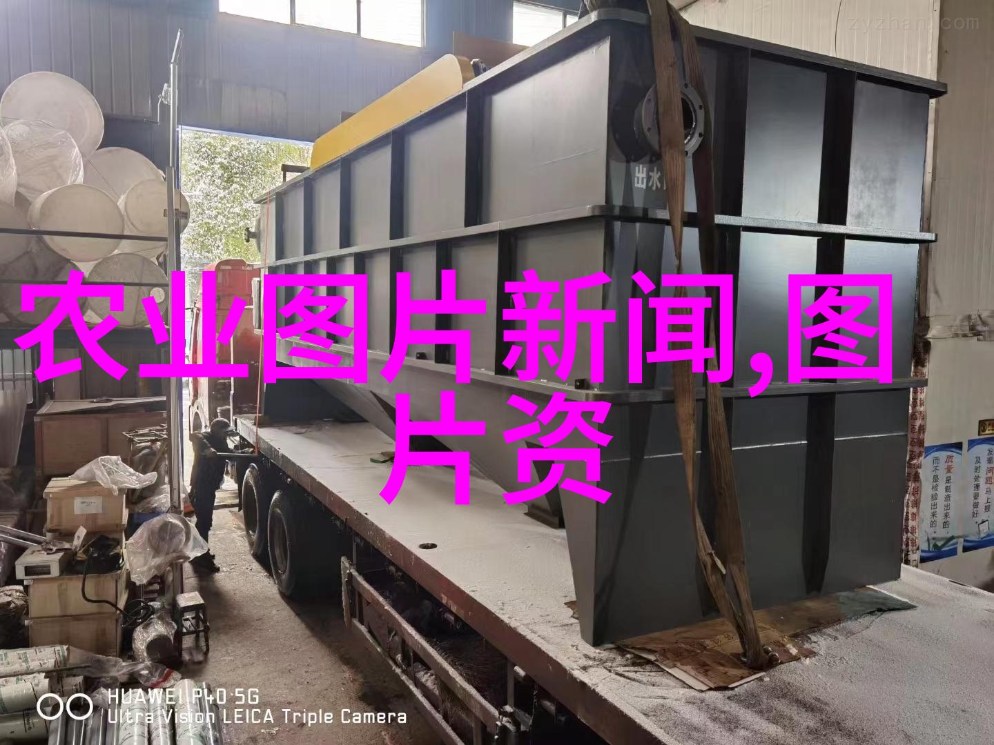 属相花谱揭秘每个星座的幸运植物