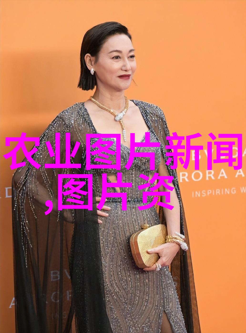 养蜂人手记蜜蜂的智慧与生态价值