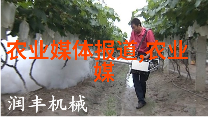 绿色循环免费供苗种植回收合作模式的实践与创新