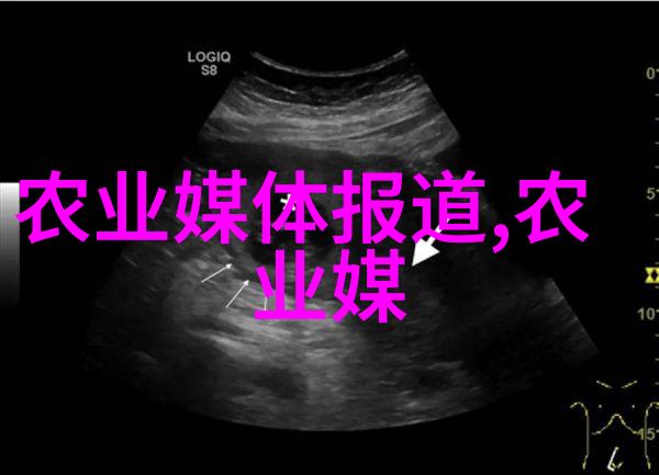 广州工程技术职业学院我在这座充满创意与实践的校园里找到了自己的舞台