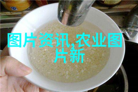 阳气重的花中哪一种最能驱散宅院中的阴霾