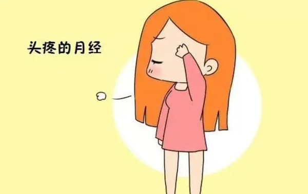 环境控制对提升蛋鸡产卵效率有什么影响