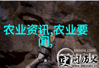 如何正确地浇水和维持花卉的水分平衡