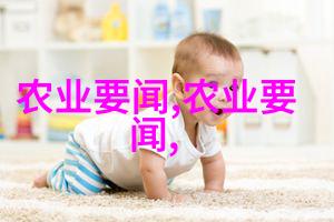 传送动力皮带机的运作原理与应用场景