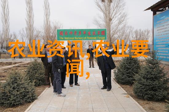 茶文化的深度探索种茶与茶道的交融