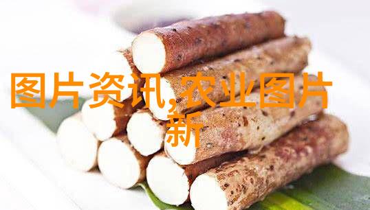 现代农业种植技术的创新与应用
