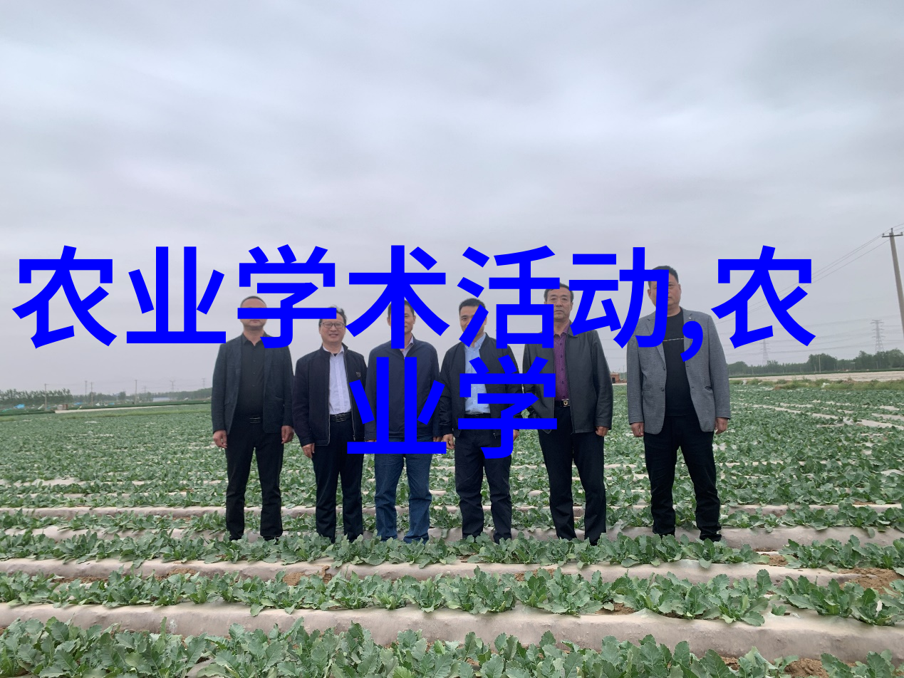 入骨念头深度探索心灵的最终底蕴