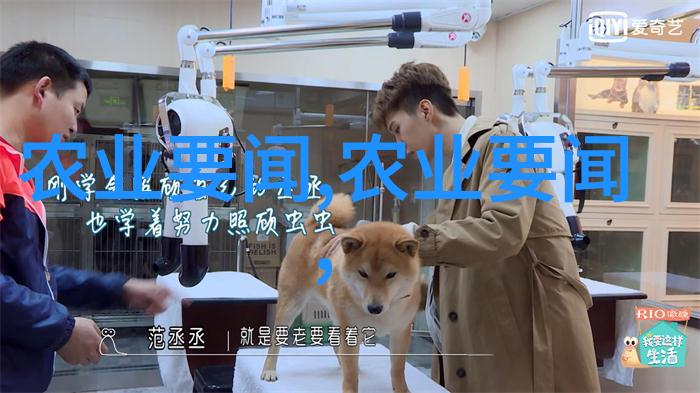 液压破碎锤的强大力量重塑建筑废料处理新篇章
