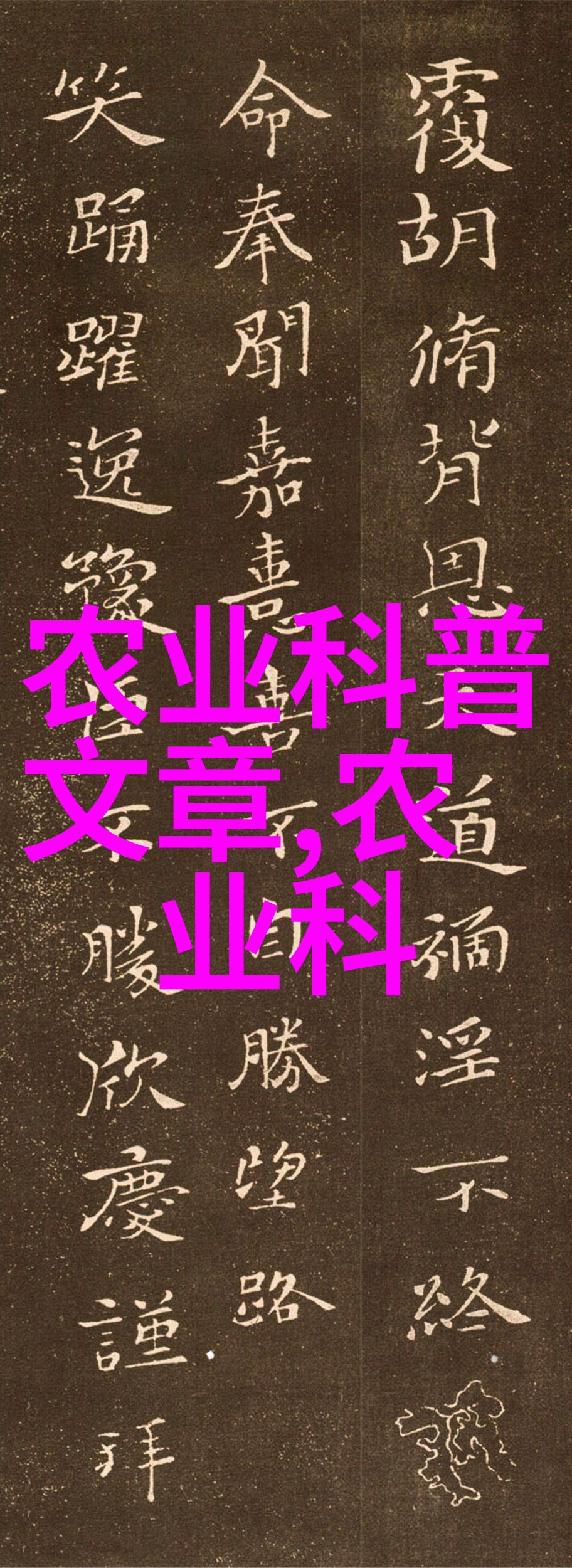 土地的记忆农业生产中蕴藏的智慧与秘密