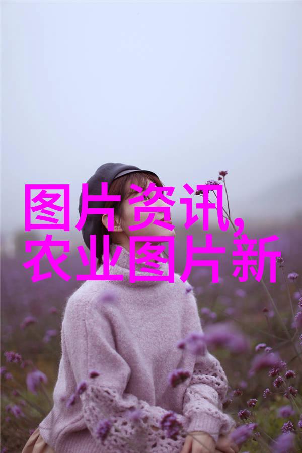 姜可全文免费阅读探索文学宝库的神秘世界