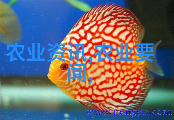 畜牧新纪元智慧与技术共创繁荣