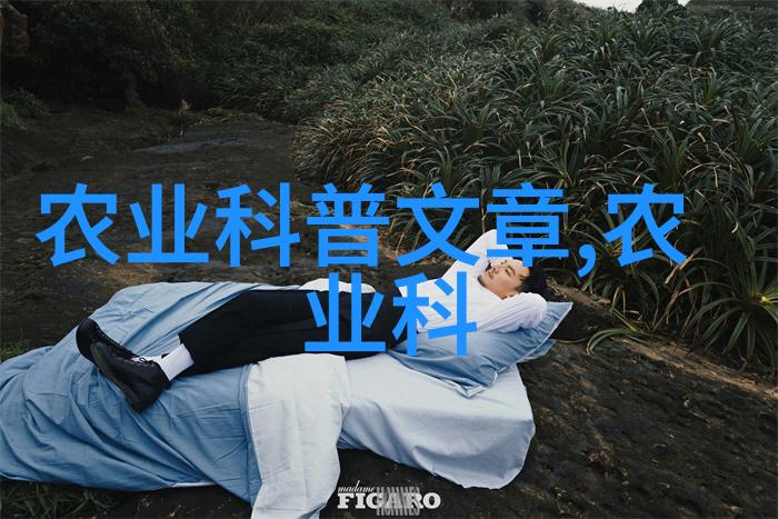 金华苗木市场绿意盎然的生态宝库