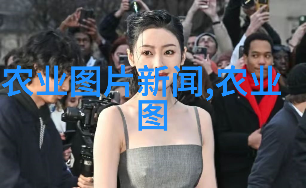 小黄文水多肉之旅