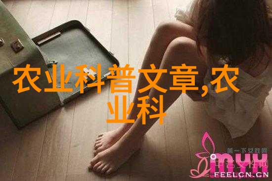 技术革新自动化系统如何改善水泥 搭配过程
