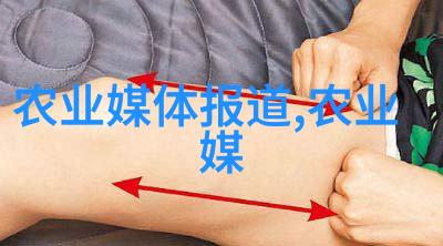 一箱蜂分三箱蜂的方法我的蜜蜂生意之道