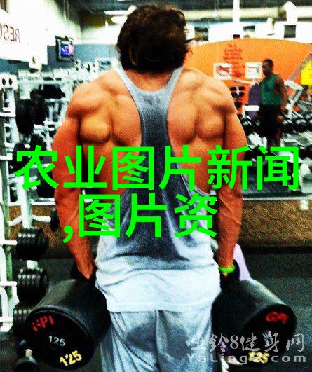 羊的养殖周期多长时间从小草到绵厚一个循环的故事