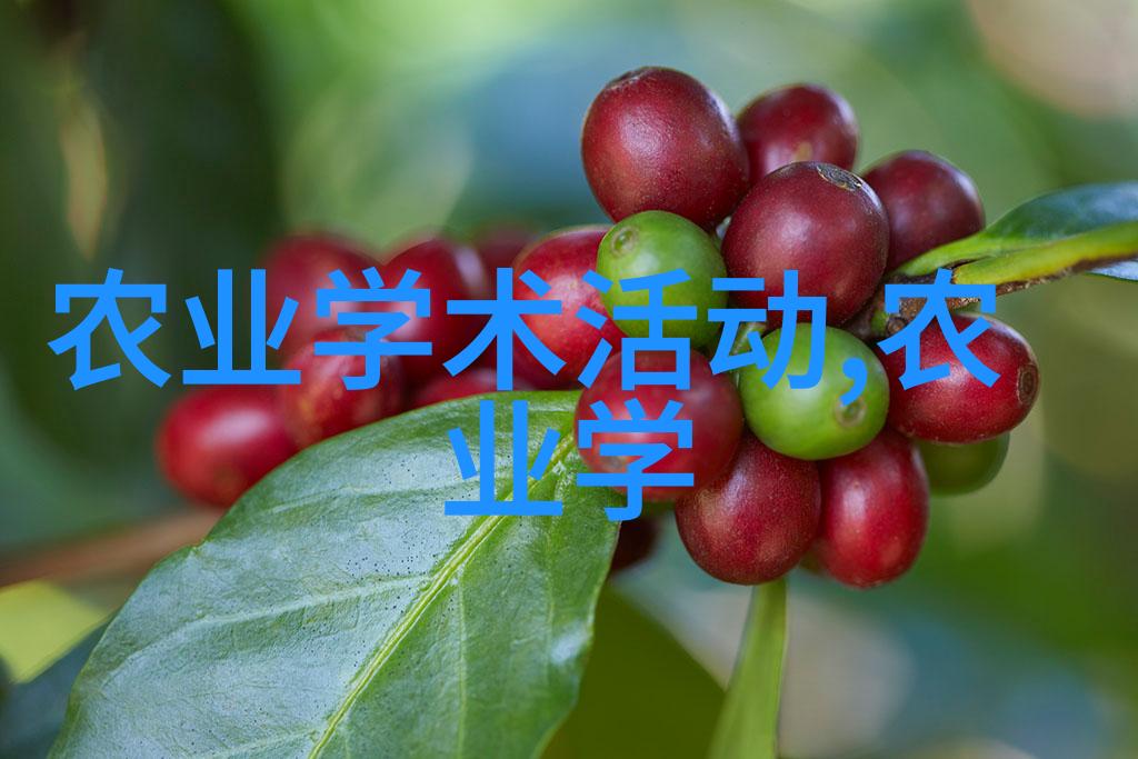 黄粉虫养殖技术我来教你怎么轻松养出一窝黄金般的宝贝