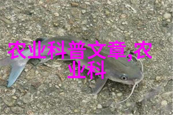简单招工技巧如何高效进行员工招聘