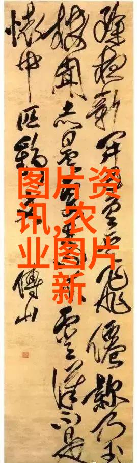关于茶的知识有哪些-品味悠长揭秘茶文化与茶艺