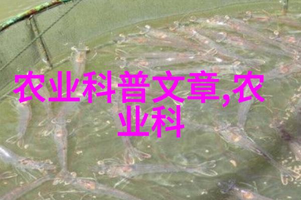 中药材种植技术培训精要概述