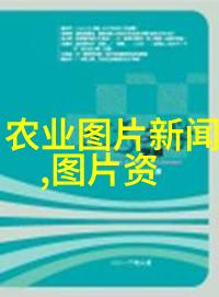 学技术哪个行业最吃香-未来赋能探秘哪些行业让技术人才大放异彩