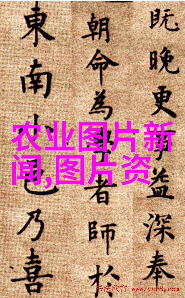 最新养羊技术大全现代高效饲料配方健康羊群管理羊舍设计优化羊毛纺织加工技巧