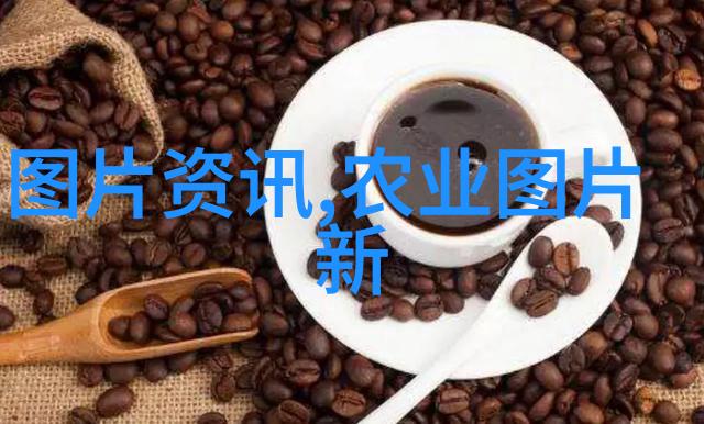 家里忌讳养什么花-避免这些不吉祥的室内植物