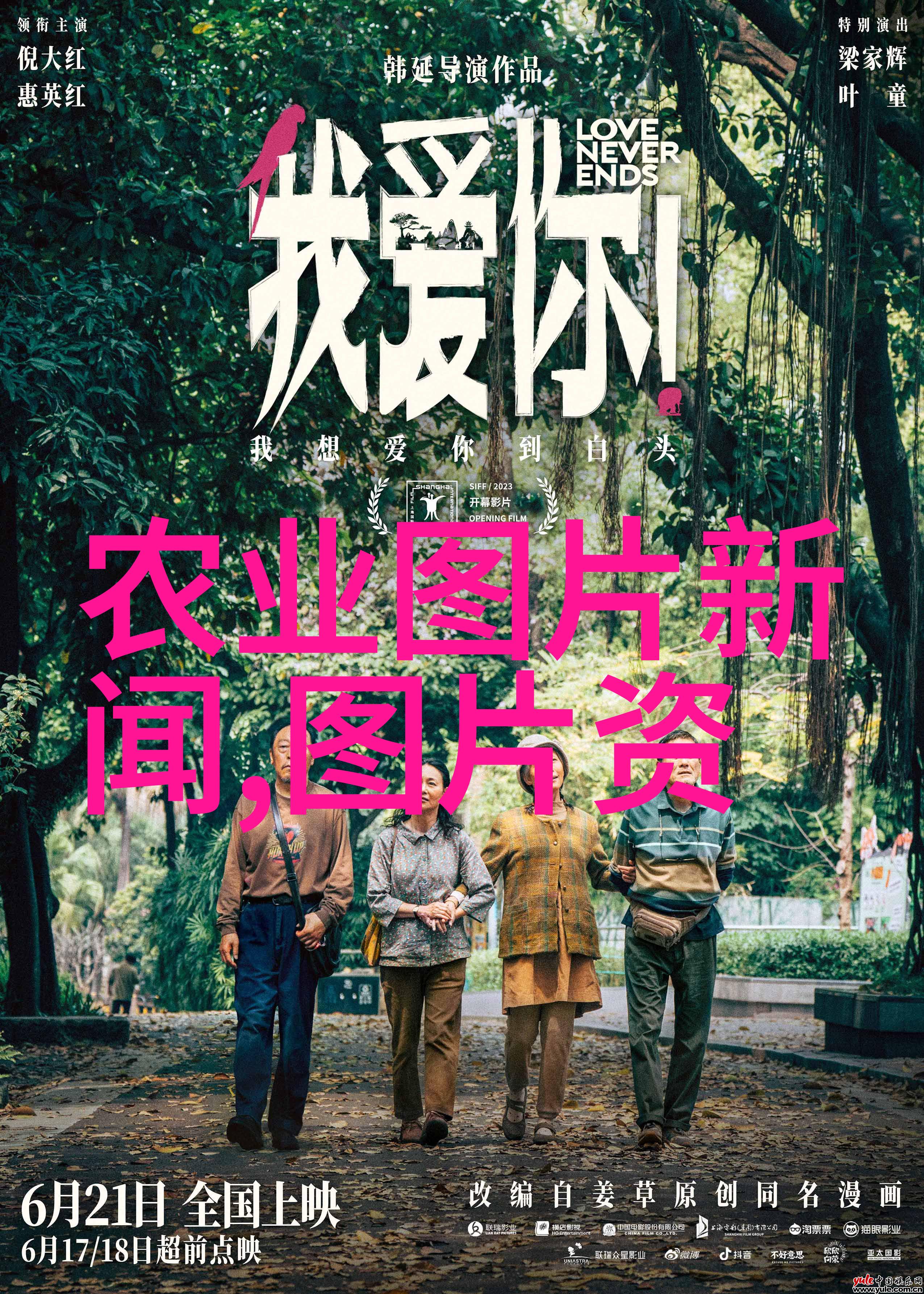 从土壤到餐桌跟随这些有趣水果的种植之旅
