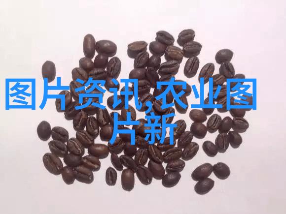 浮生空心水上种植的奇妙浮床之旅
