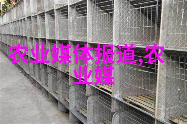 从淡水到盐分深入浅出了解各种水产生物