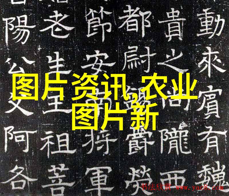 水果和它的种子图片我来点种下希望收获幸福的故事吧