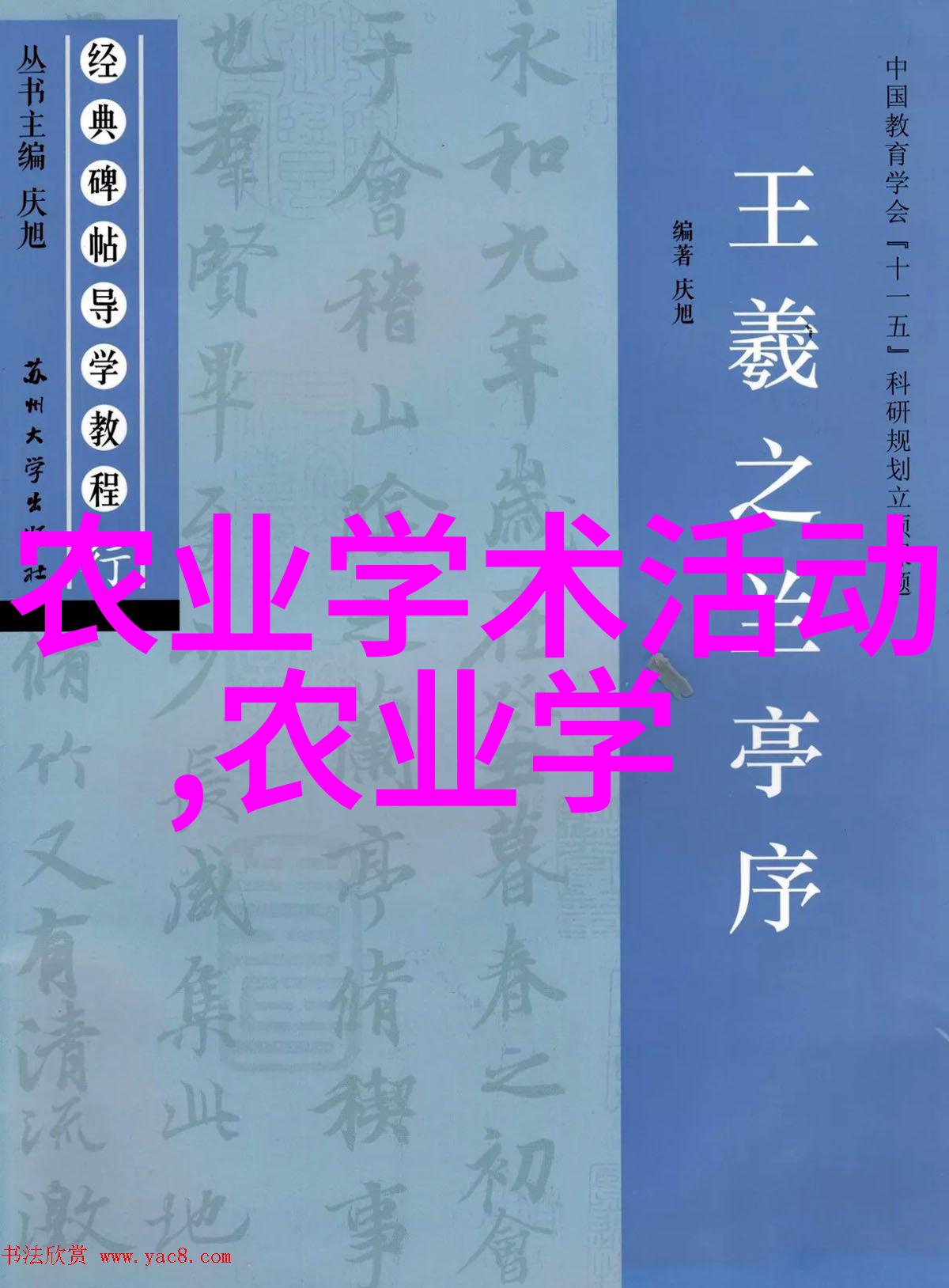 照射光合作用太阳能对蔬菜种植的影响与利用策略